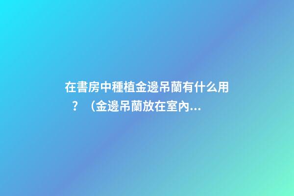 在書房中種植金邊吊蘭有什么用？（金邊吊蘭放在室內(nèi)好嗎）